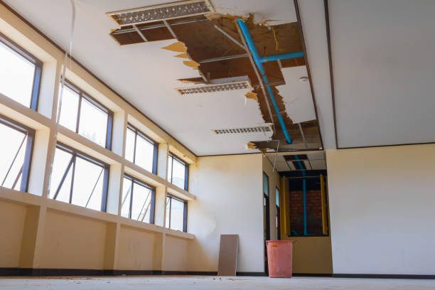 Best Flooded house restoration  in Rocklin, CA