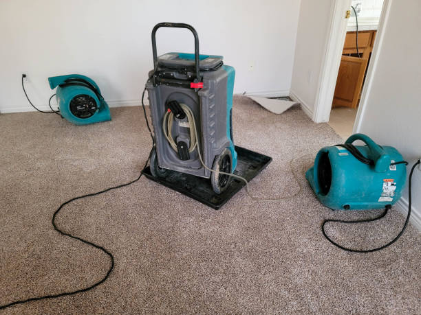 Best Ceiling water damage repair  in Rocklin, CA