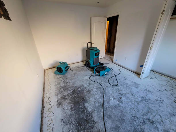 Best Flood restoration services  in Rocklin, CA