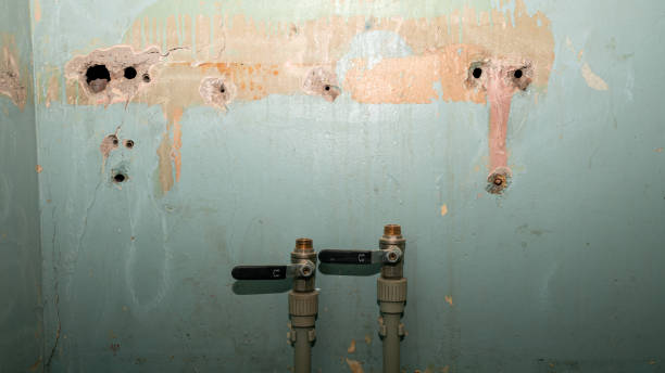 Best Basement water damage restoration  in Rocklin, CA