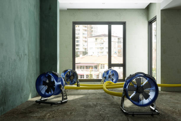 Best Mold removal after water damage  in Rocklin, CA