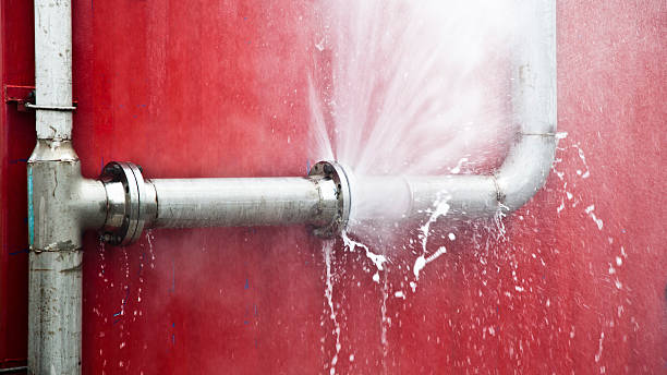 Best Water damage cleanup near me  in Rocklin, CA