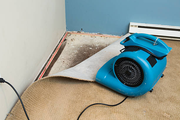 Best Fire Damage Restoration  in Rocklin, CA